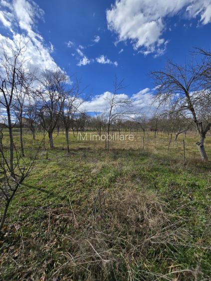 Herneacova-Casa si Teren-Livada- 2876 mp- Front 37m - 17