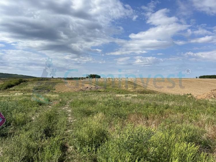 Teren intravilan de vanzare, Cheriu, Bihor - 3