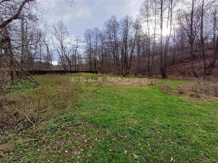 Resita, Teren Drept Intravilan, Langa Prau si Drum, 1308 Mp., 15 Euro Mp., Renk - 8