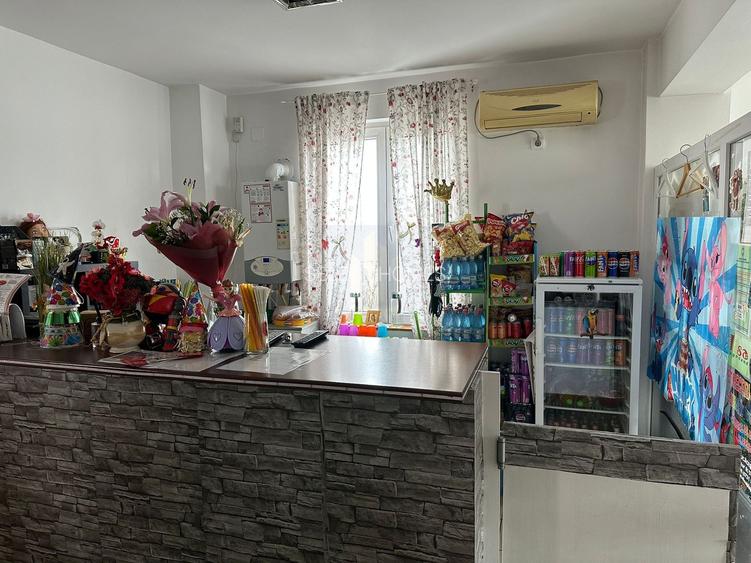 Casa 10 Camere | P+2+M | Vanzare | Investitie *Crangasi* - 20