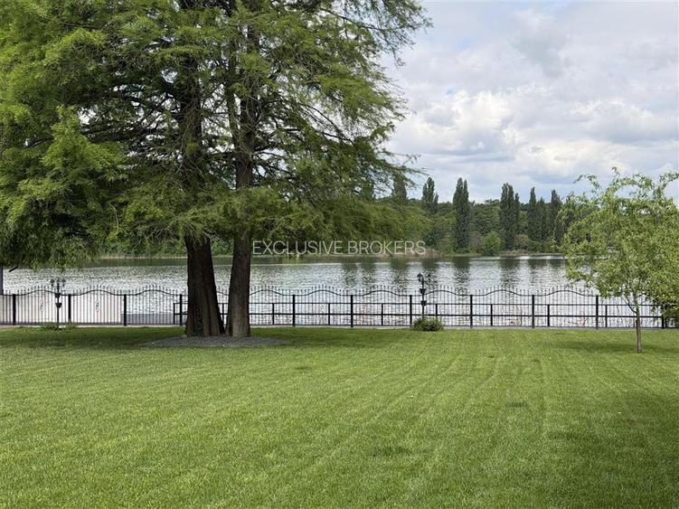 VILA SUPERBA SNAGOV  DESCHIDERE 40 ML LAC  TEREN 1750 MP - 19
