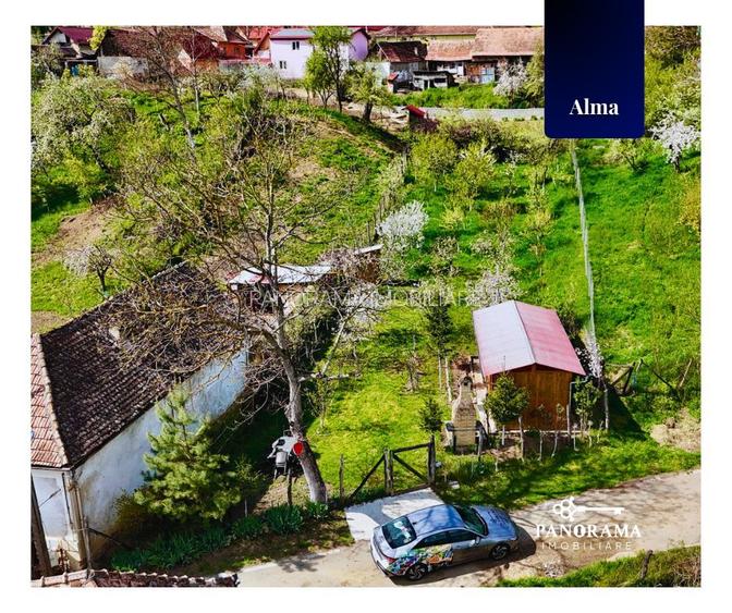 Teren Intravilan cu cabana  in satul transilvanean Alma - 3