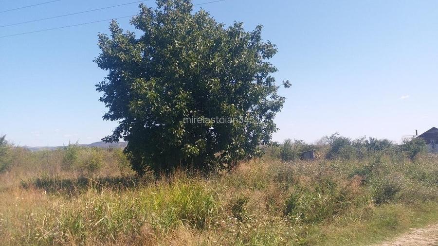 Teren 15000 mp Vernesti, Buzau cu PUZ - 15