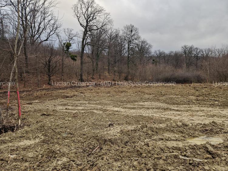 Teren parcele, de la 748mp la 3024mp, Barnova Sf. Ap. Petru - 5