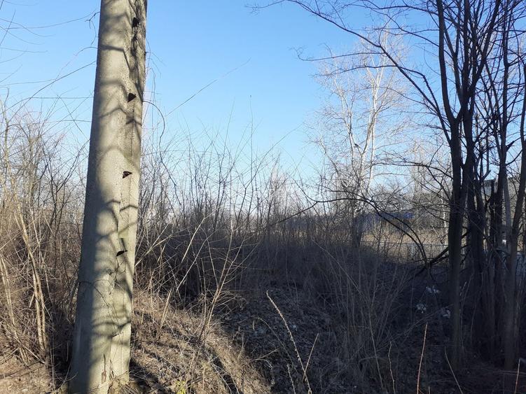 Zona Metrou Costin Georgian  1427 mp, d=60 ml la bulevard - 2