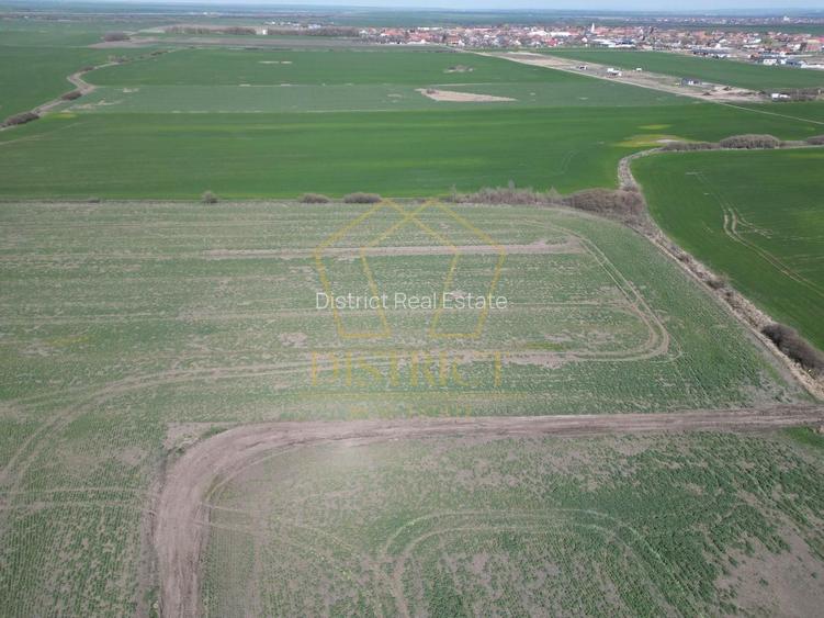 Teren industrial de vânzare Covaci | 14.000 mp | Viitoare centura Covaci - 5