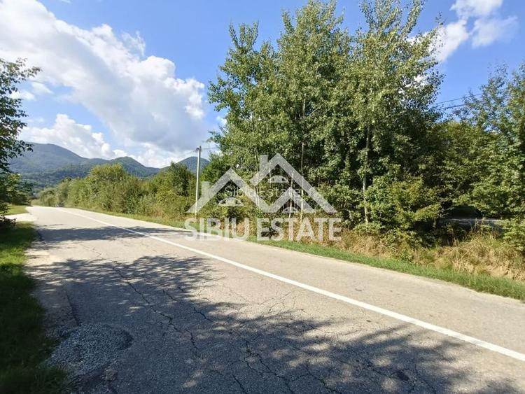 Teren  construibil ,la sosea, intre Vale si Sibiel, zona cu potential - 3