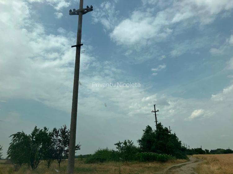 Teren intravilan agricol de vanzare - 2