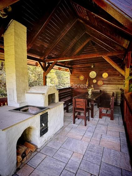 Casă de vacanță tip Chalet pe Valea Muresului  - 6