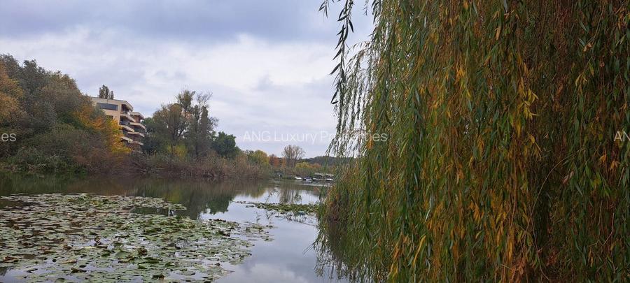 OAZA DE LINISTE SI RAFINAMENT LA MALUL LACULUI - 8