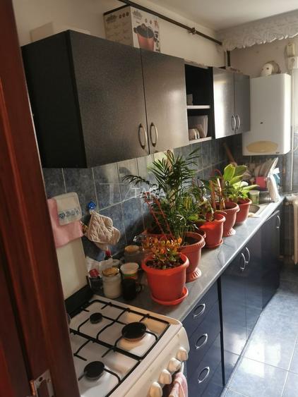 Apartament decomandat cu 3 camere – parter, zona Flora, Mănăștur. - 3