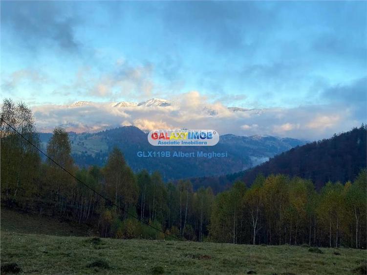 Vanzare teren intravilan  10818 mp , 47 ml la DN 73 Moieciu de Jos - 4