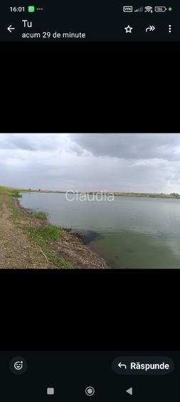 Luciu de apă 10 hectare – județul Călărași – la 1 oră de București - 3