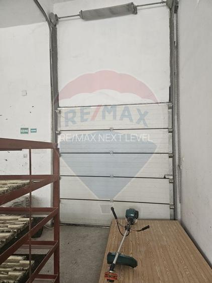 Hala industriala de inchiriat 340 mp, str. Bradului - 10