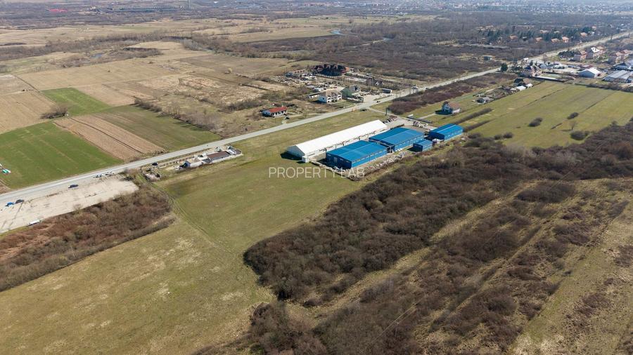 Teren extravilan de 7.000 mp lângă Păltiniș - 12