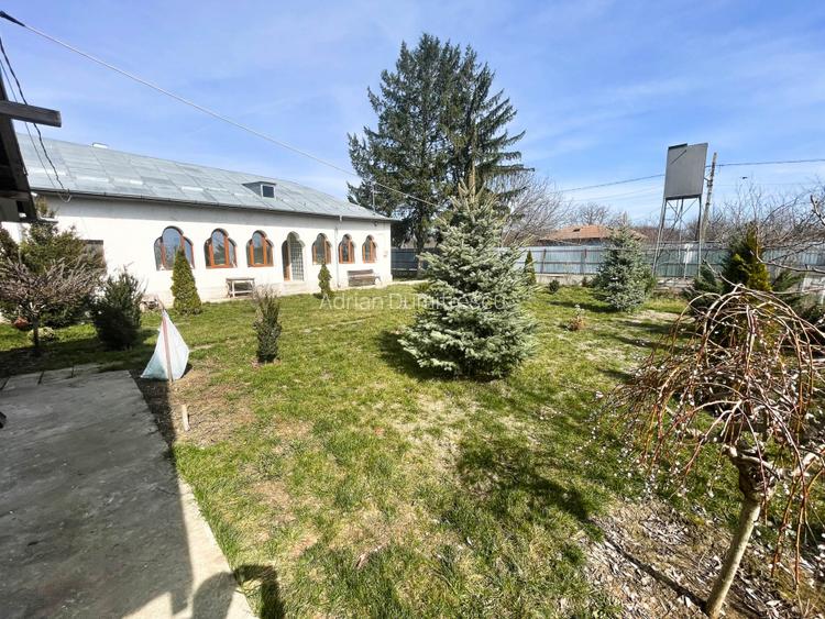 Mitreni-Valea Rosie-Acasa la Tara -4 camere-178 mp-LOT  1000 mp+Casa secundara - 33