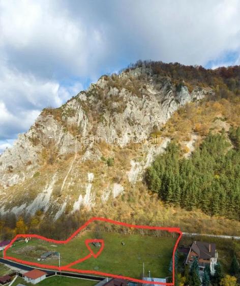 Teren de vânzare în Lepșa – ideal pentru pensiune sau casă de vacanță - 3