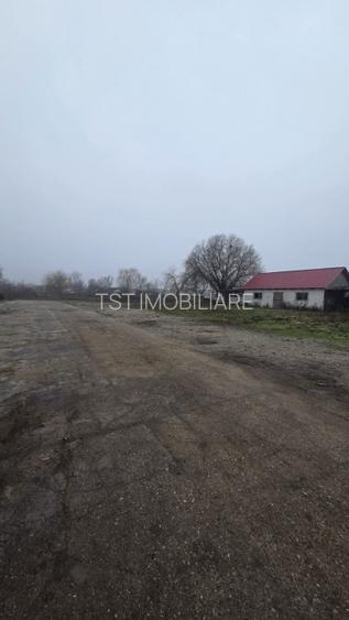 Teren intravilan + spații comerciale  Odoreu, zonă centrală - 2