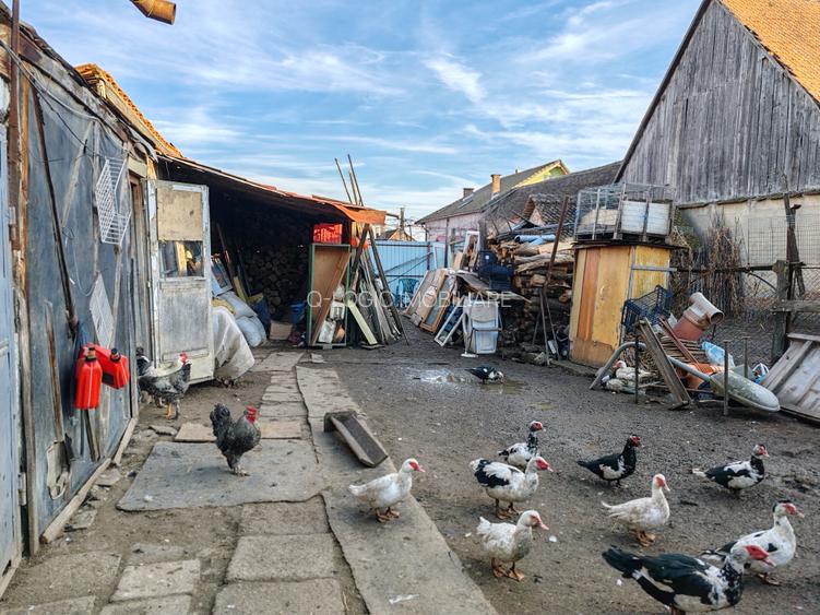 Casa 5 camere HALCHIU - SATU NOU - 28