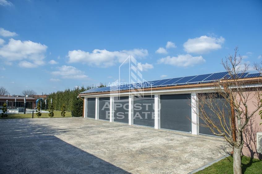 Vila,Piscina,teren fotbal,gradina,vegetatie - 16