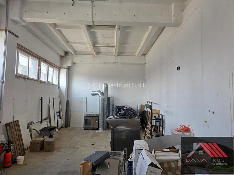 Hală 110 mp, platforma Freidorf langa centura 600e+TVA - 5