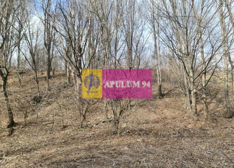 Teren de vânzare în Sinaia - Platou Izvor - 4