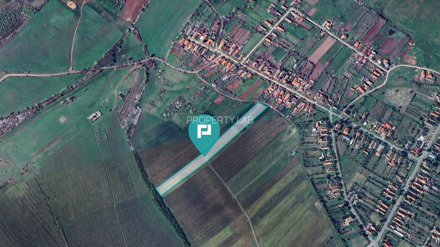 TEREN REMETEA MICĂ, JUDEȚUL TIMIȘ - 3