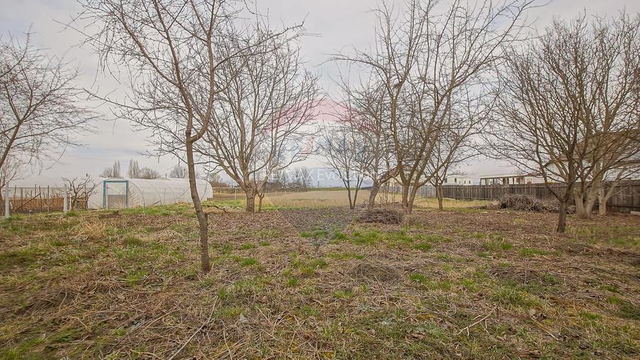 Comision 0 | Dezvoltare sau business: hale + teren 5.924 mp - 29