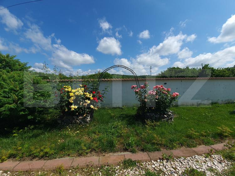 Vilă cu 5 camere, 280 mp, livadă pe rod, zona Valea Voievozilor