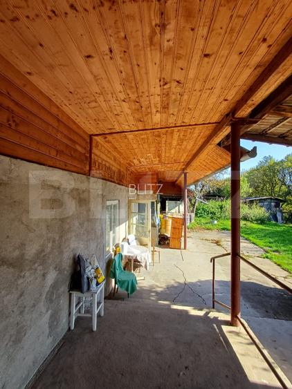 Casa renovabila cu 11508 mp teren, in Copaceni - 18
