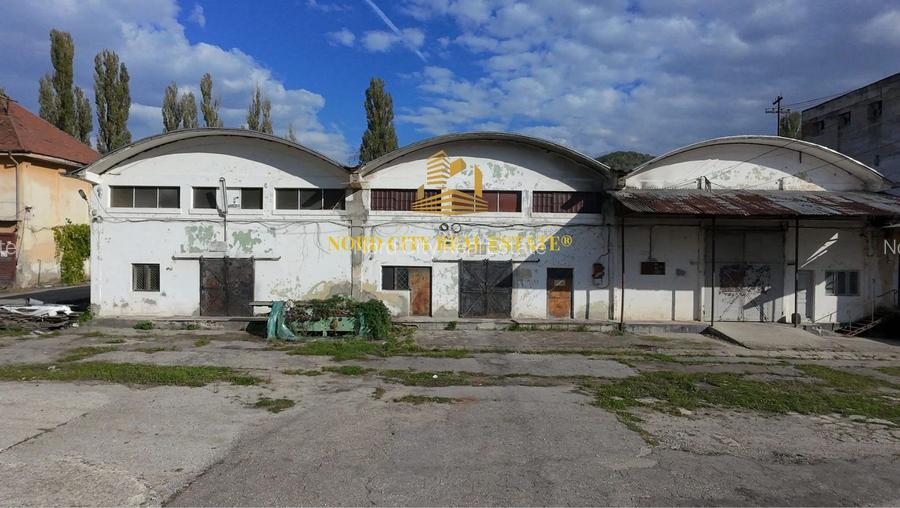 Platforma Industriala-8 ha -Fabrica-Hale Productie-21.500 mp - 19