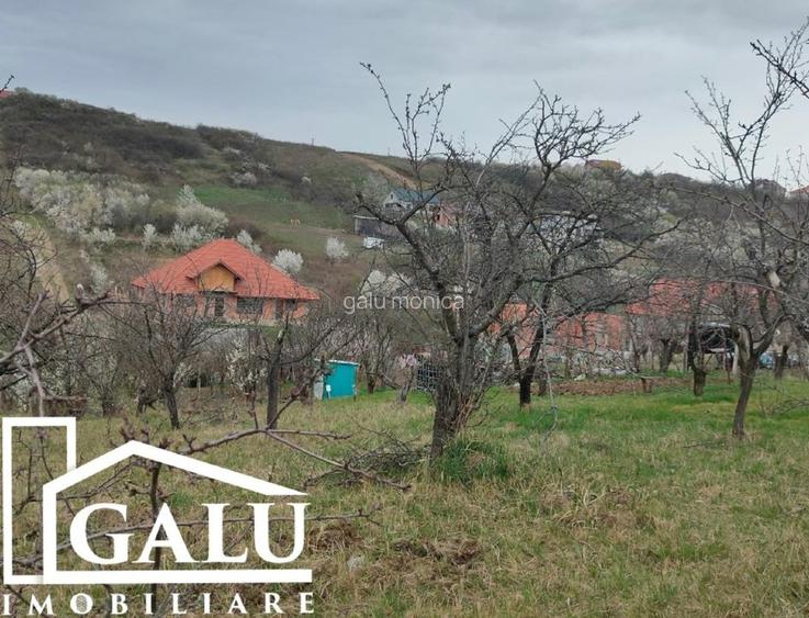 Teren intravilan 3245mp Livezilor, Dealuri Oradea - 4