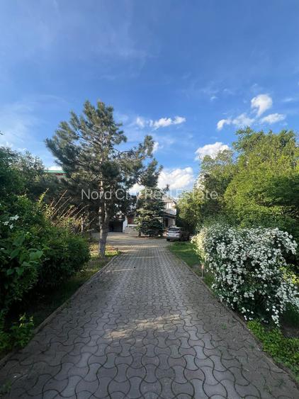 VILA PE LACUL GRIVIȚA | DAMAROAIA – SECTOR 1 - 13