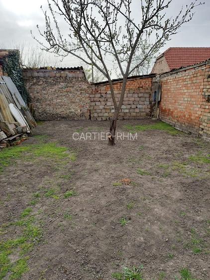 Casă de vânzare urgent în Jimbolia- 731 - 16