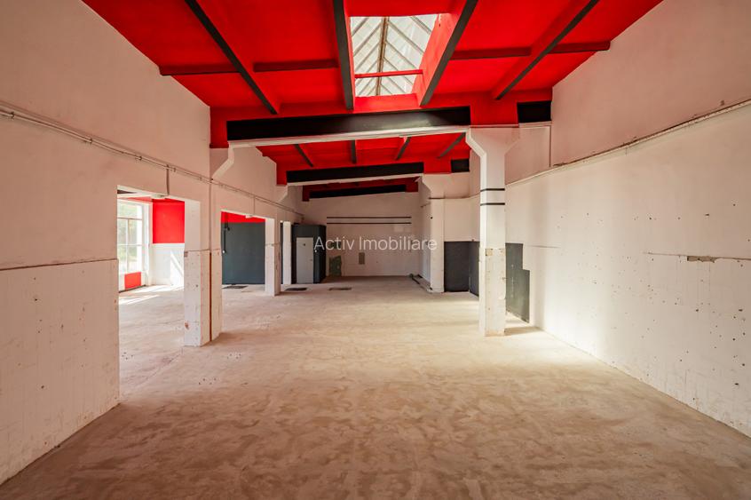 Hala industriala 297 mp, 15 parcari, acces TIR – Constanta - 9