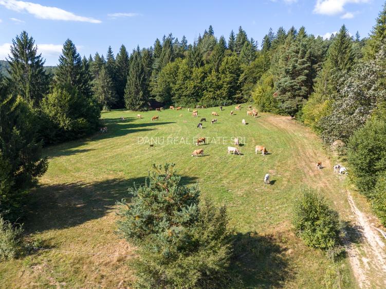 Investitie premium in turism-teren 6800mp langa lacuri Vulcan Brasov - 7