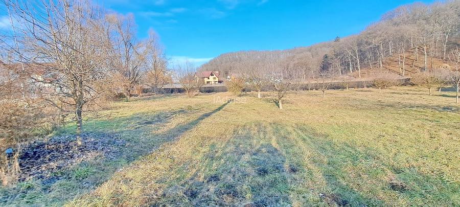 Propriete superbă la marginea pădurii în Râșnov Primăverii 5,000 mp - 4