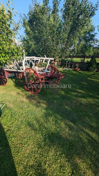 RESTAURANT DE VÂNZARE-COM. OBREJA\SAT IAZ\CARAȘ SEVERIN - 5