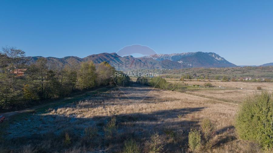 Comision 0% Teren de vânzare, zona Bran - Sohodol, 4000mp! - 7