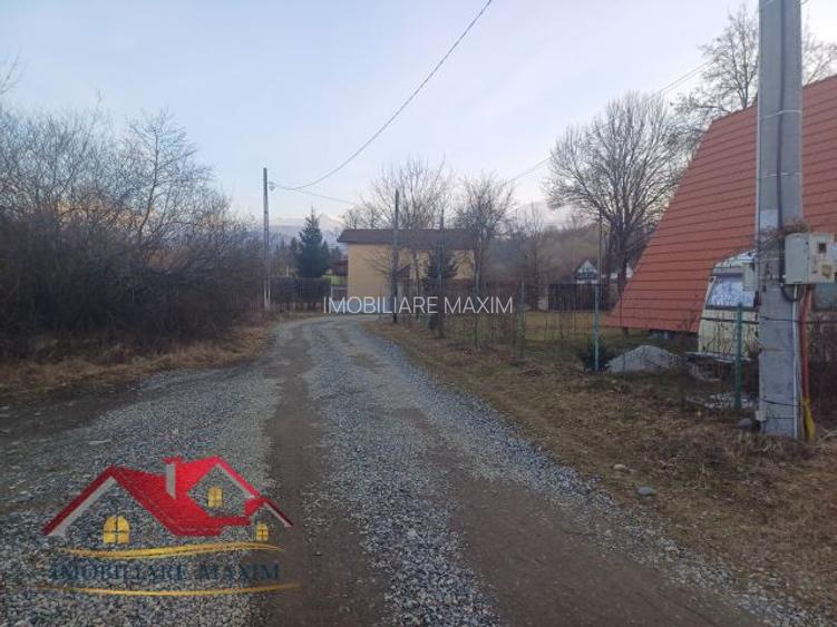 Imobiliare Maxim - teren Valea Avrigului - 6