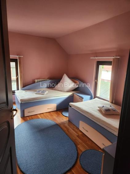 Va aducem spre vanzare o proprietate cocheta, case, foisor si curte - 10