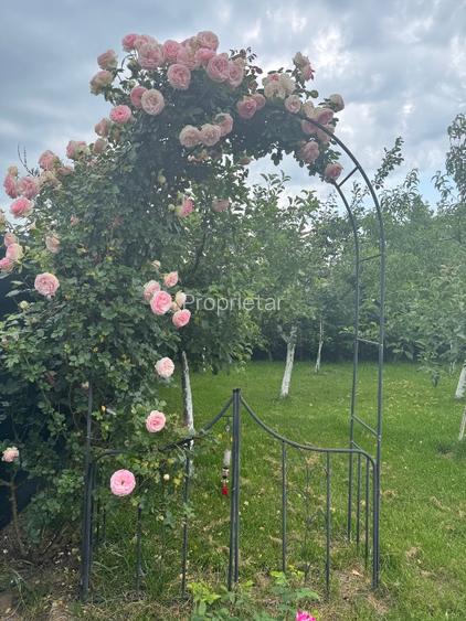 Vila premium de vânzare  - 13