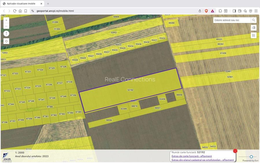 Teren intravilan 18.200 mp Saftica Balotesti - 2