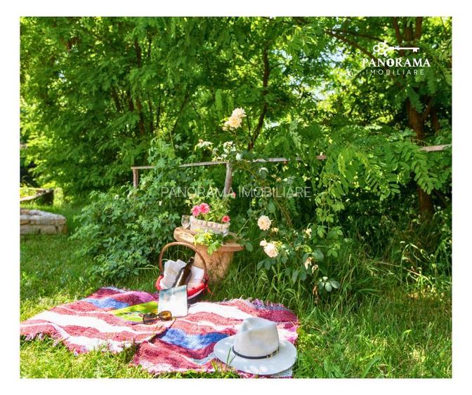 Proprietate cu farmec istoric și potențial turistic in Saschiz - 18