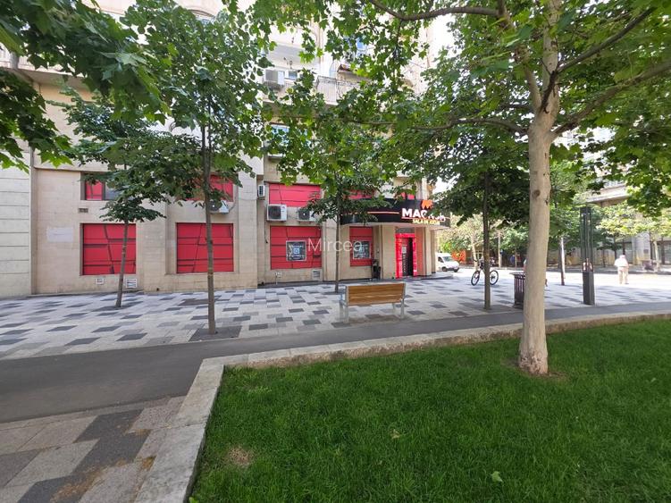 SPATIU COMERCIAL, BD. DECEBAL - PIATA ALBA IULIA - 2