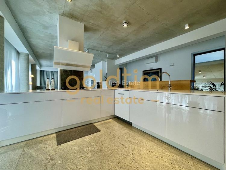 SUPERB/ ESQUISITE DESIGN/ GARDEN/ PARKINGS/ IANCU NICOLAE - 13