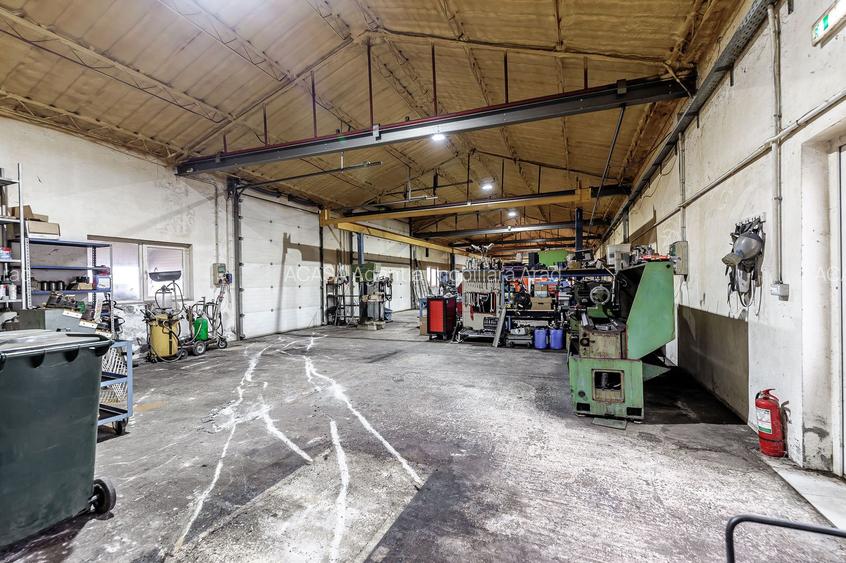 Hale depozitare/producție 2.000 mp si 10.000 mp teren în Pecica - 15