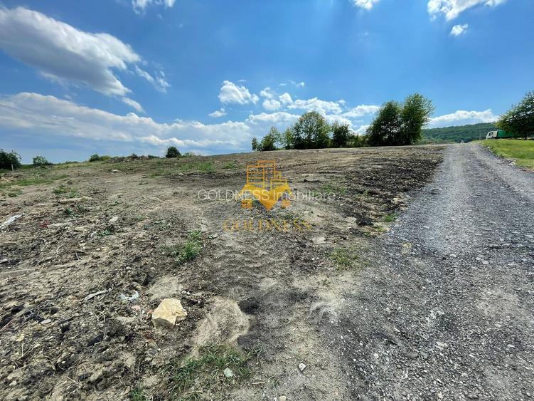 Terenuri de vanzare, Parcelabil, Valea Chintaului, Zona Beta Residence - 8