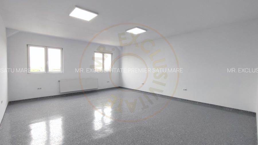 Inchiriere Spatii de Birouri/Productie - Str. Uzinei - Carei - Comision 0%  - 14