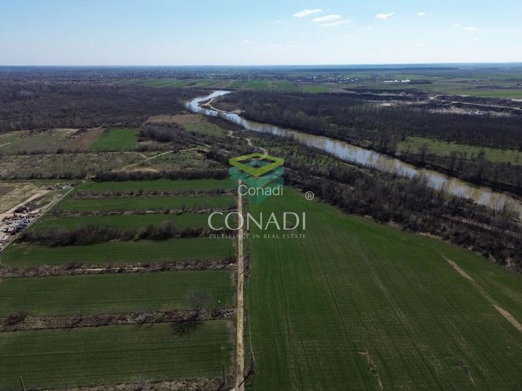 Teren de vanzare -  Bolintin Vale 10 ha - 6